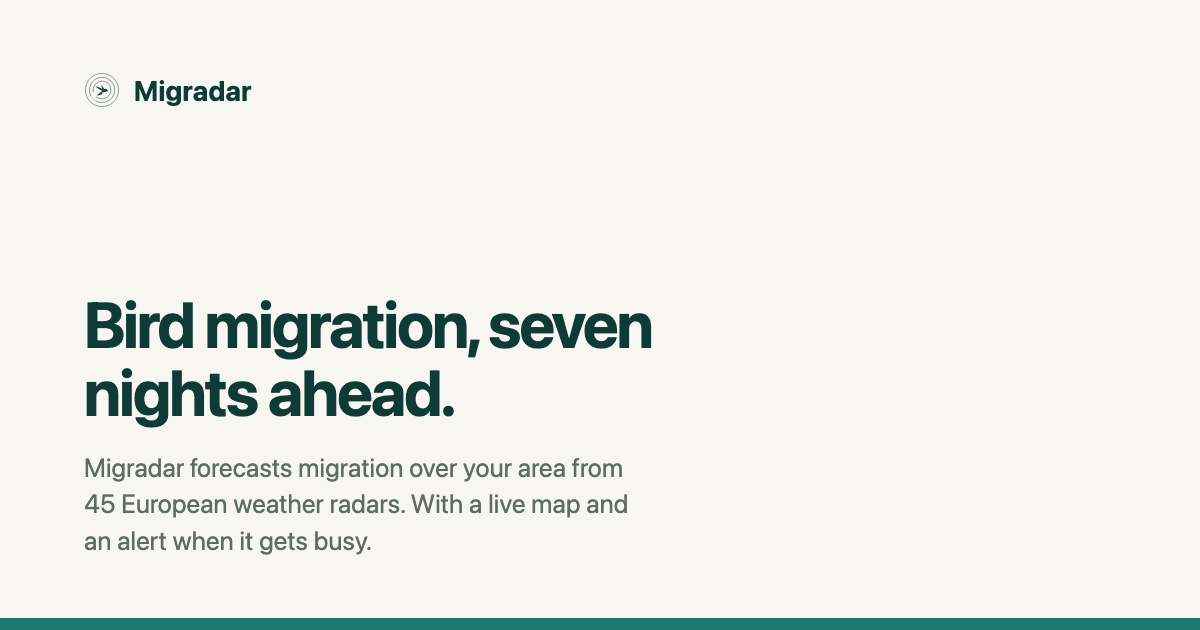 Migradar — bird migration forecast, seven nights ahead